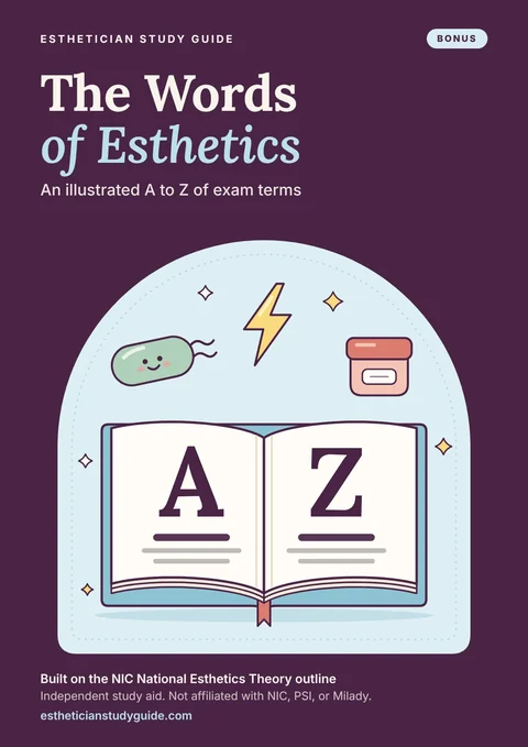 Bonus: The Words of Esthetics cover