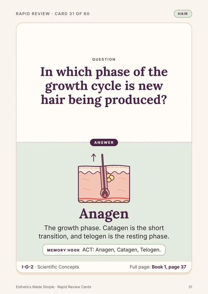Book 2, card 31: In which phase of the growth cycle is new hair being produced? Anagen